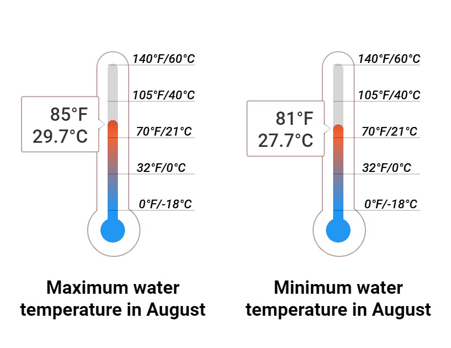 Average Sea temperature
